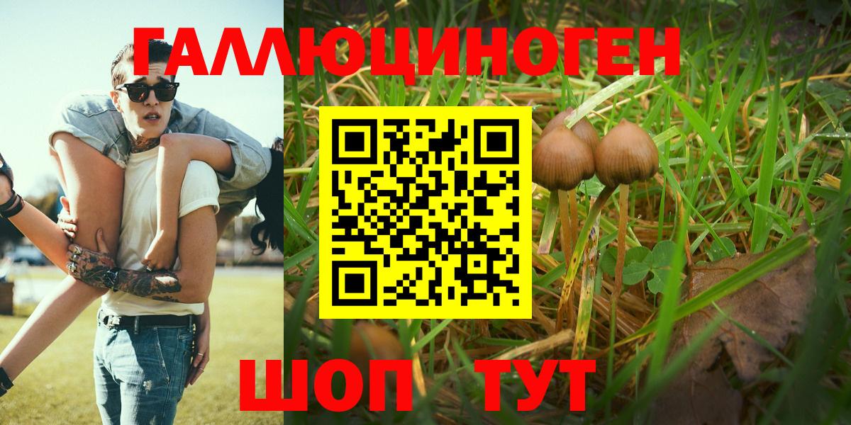 Псилоцибиновые грибы Magic Shrooms Курчатов