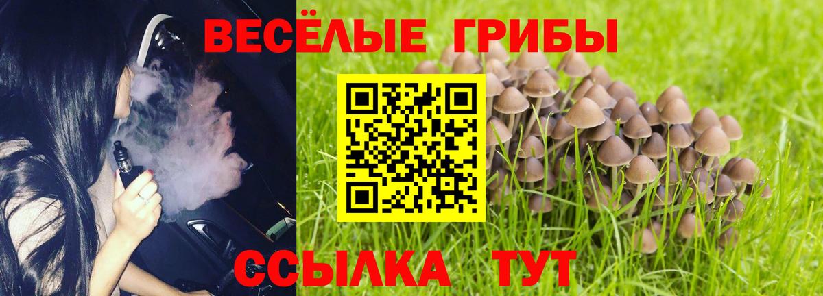 Псилоцибиновые грибы Magic Shrooms  Вход с VPN  Курчатов 
